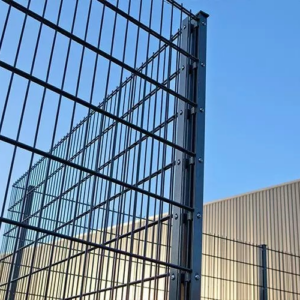 Doppelstabmatte 8/6/8